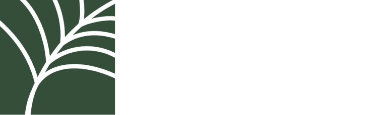 Northern Canopy
